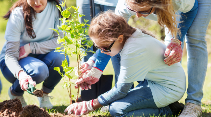 7 Different Ways Students Can Contribute To Society
